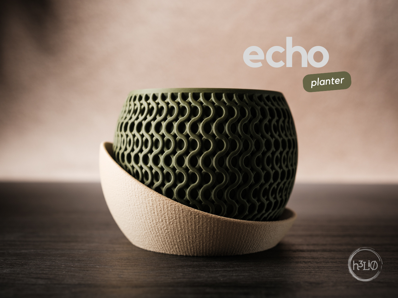 echo.png